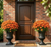 💥Last Day 70% OFF🌼- Artificial Outdoor Sunset Mums Flowers - UV resistant, Waterproof, Windproof