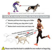🔥Hands Free Dog Leash with Zipper Pouch