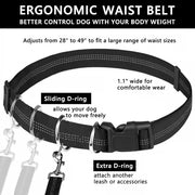 🔥Hands Free Dog Leash with Zipper Pouch
