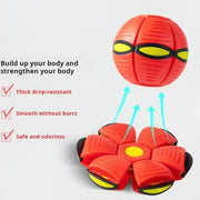 Flying Saucer Ball