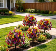 ⏰ Last Day Special — Create Your Dream Garden Paradise at Unbeatable Prices