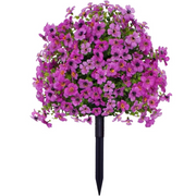 ⏰ Last Day Special — Create Your Dream Garden Paradise at Unbeatable Prices