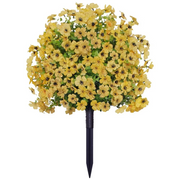 ⏰ Last Day Special — Create Your Dream Garden Paradise at Unbeatable Prices