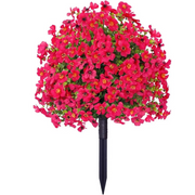 ⏰ Last Day Special — Create Your Dream Garden Paradise at Unbeatable Prices