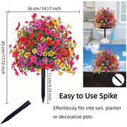 ⏰ Last Day Special — Create Your Dream Garden Paradise at Unbeatable Prices