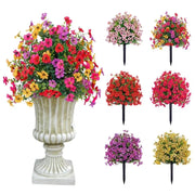 ⏰ Last Day Special — Create Your Dream Garden Paradise at Unbeatable Prices