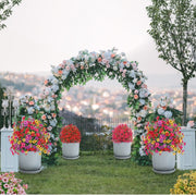 ⏰ Last Day Special — Create Your Dream Garden Paradise at Unbeatable Prices